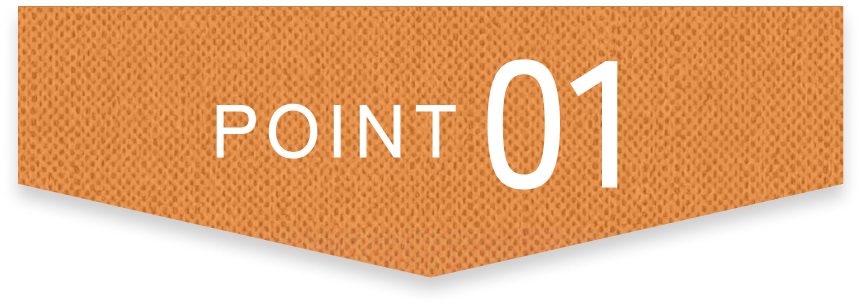 point 01