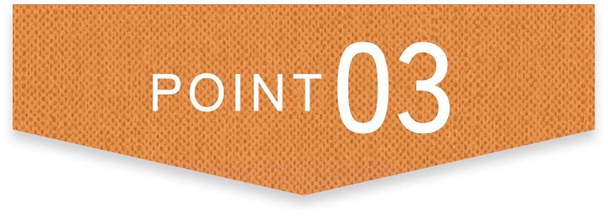 point 03